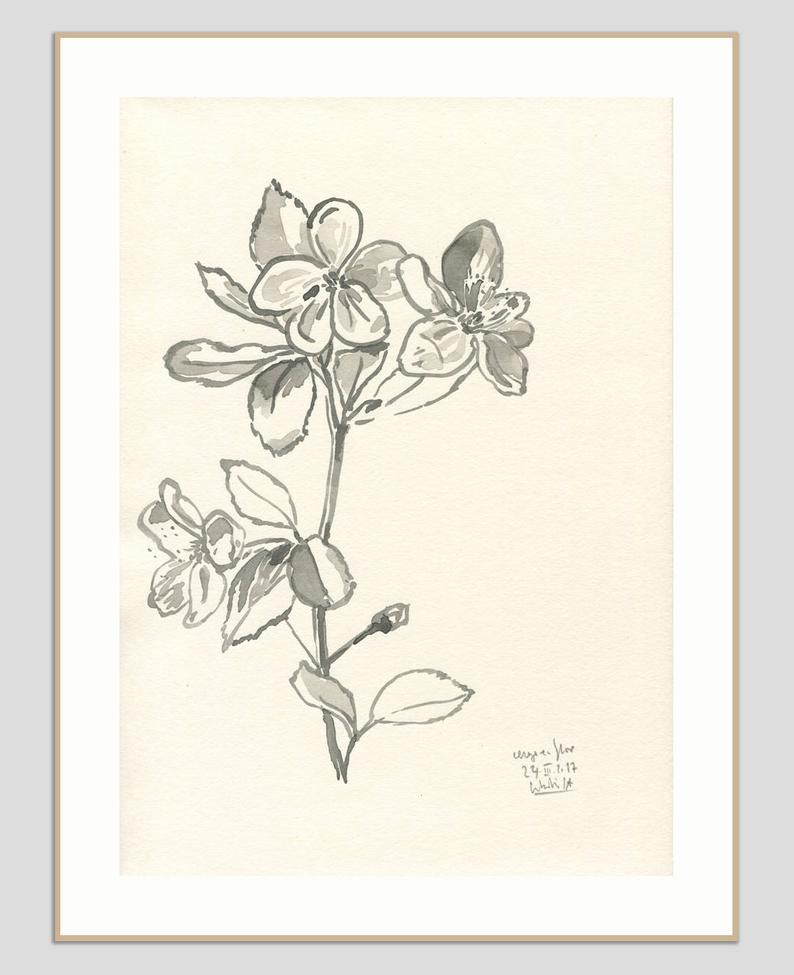 794x975 cherry blossom drawing original black ink drawing of cherry etsy - Cherry Blossom Drawing
