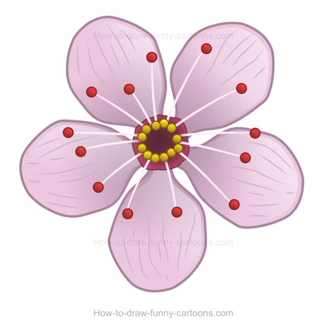460x461 How To Create A Cherry Blossom Drawing - Cherry Blossom Drawing