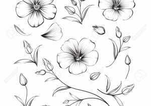 300x210 sakura flower drawing cherry blossom tree drawing outline blossom - Cherry Blossom Drawing Outline