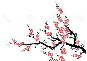 300x210 cherry blosson drawing cherry blossom drawing tumblr - Cherry Blossom Drawing Tumblr