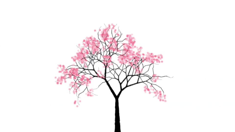 960x540 Cherry Tree Elizabeth Fuller - Cherry Blossom Drawing Tumblr