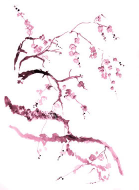 278x380 Drawn Cherry Blossom Ink - Cherry Blossom Drawing Tumblr