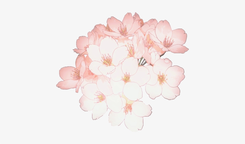 820x484 Flower Flowers Sakura Cherryblossom Tumblr Kawaii Ftest - Cherry Blossom Drawing Tumblr