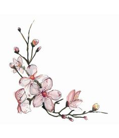 236x273 best cherry blossom drawing images murals, wall papers, wallpaper - Cherry Blossom Drawing Tumblr