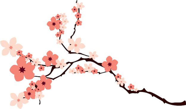 626x366 Japanese Cherry Blossom - Cherry Blossom Drawing Tumblr