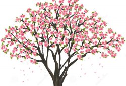250x170 Cherry Blossom Tree Drawing Tumblr Printable Coloring - Cherry Blossom Drawing Tumblr