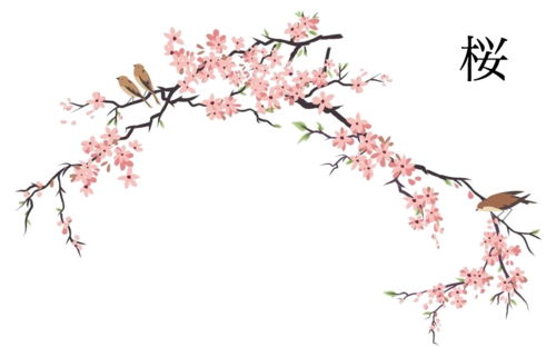 500x321 Cute Flower Drawing Gif Tumblr - Cherry Blossom Drawing Tumblr