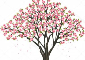 300x210 cherry blossom simple drawing collection of cherry blossom - Cherry Blossom Drawing Tumblr