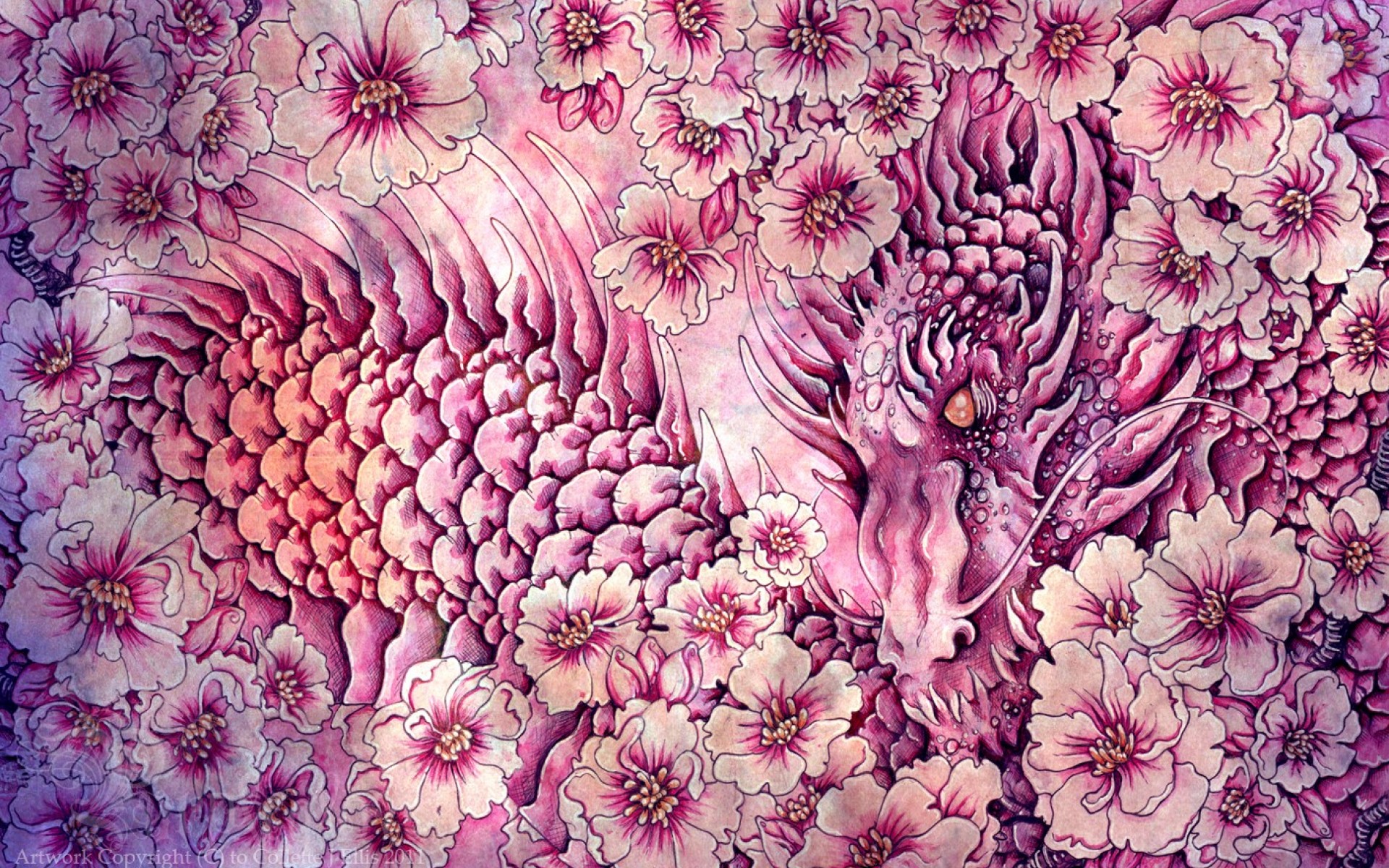 1920x1200 Cherry Tree Drawing Wallpaper - Cherry Blossom Drawing Wallpaper