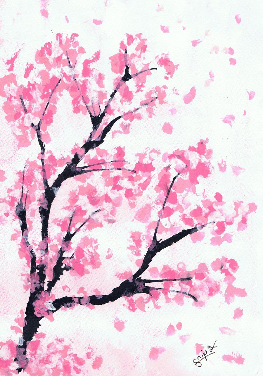 Cherry Blossom Drawing Wallpaper At Paintingvalley Com Explore