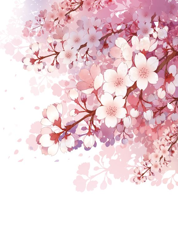 572x800 alcohol wallpaper, cherry blossoms - Cherry Blossom Drawing Wallpaper