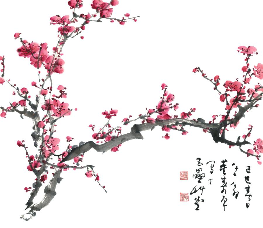 Cherry Blossom Drawing Wallpaper at PaintingValley.com | Explore ...