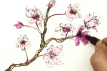 210x140 Tag Cherry Blossom Drawing Wallpaper - Cherry Blossom Drawing Wallpaper
