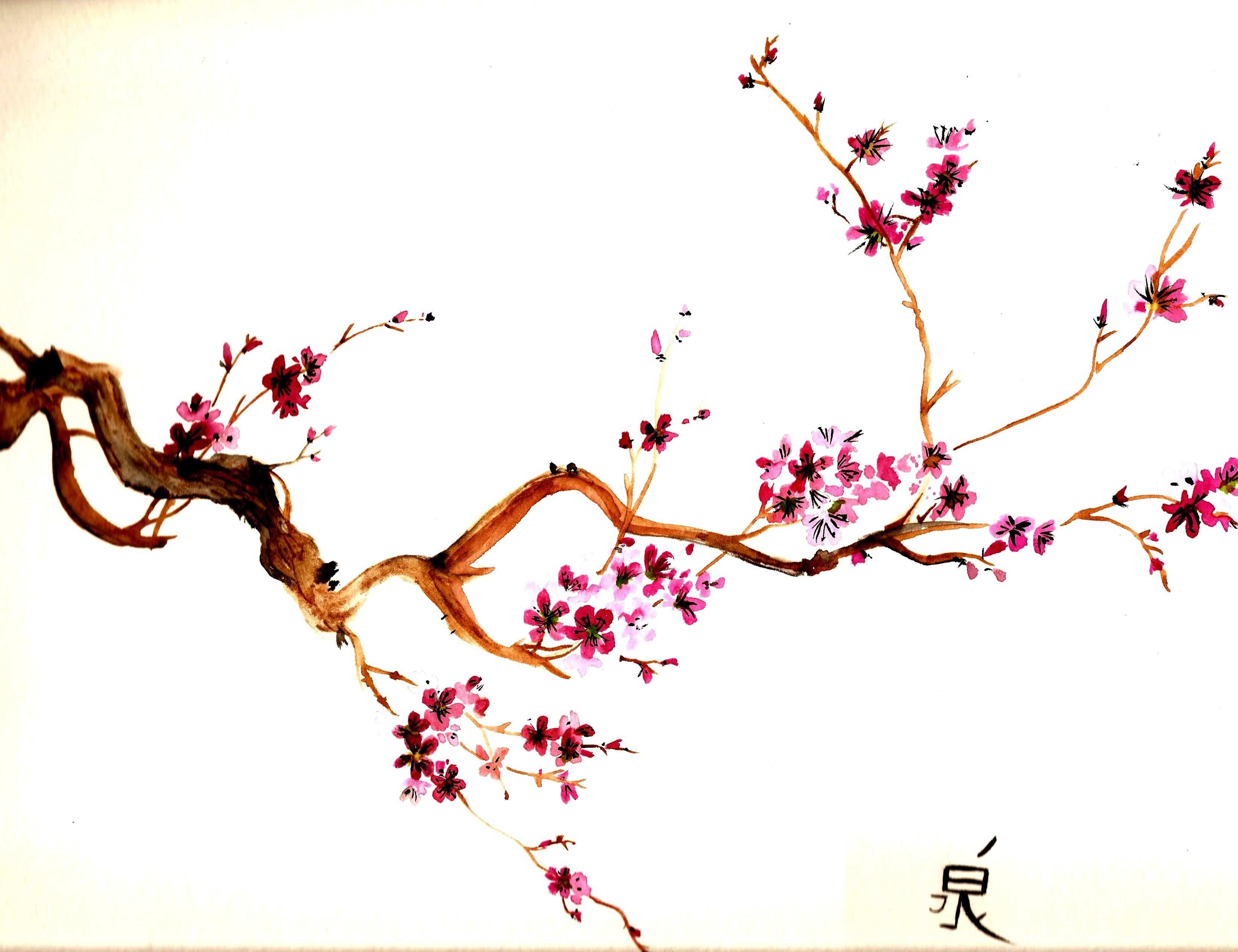 Cherry Blossom Drawing Wallpaper At Paintingvalley Com Explore