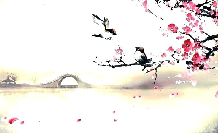 735x450 Cherry Blossom Wallpaper - Cherry Blossom Drawing Wallpaper