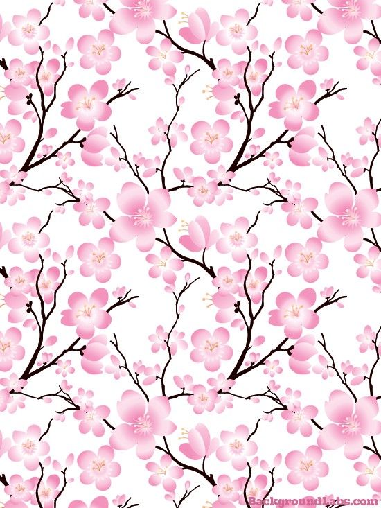 550x733 cherry blossom seamless pattern marcos cherry blossom - Cherry Blossom Drawing Wallpaper