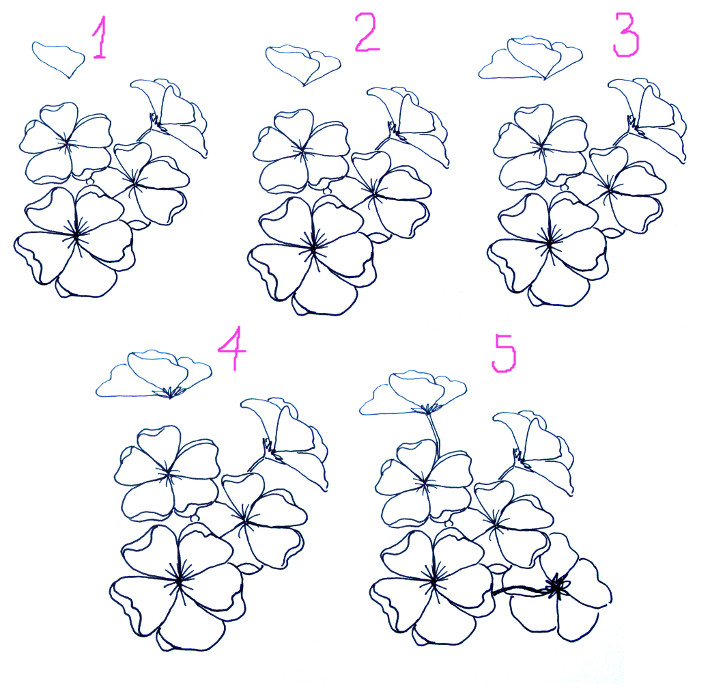 710x690 Cherry Blossom Watercolor Painting - Cherry Blossom Flower Drawing