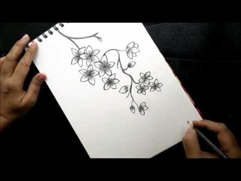 480x360 How To Draw Cherry Blossom Flowers For Beginners Step - Cherry Blossom Flower Drawing