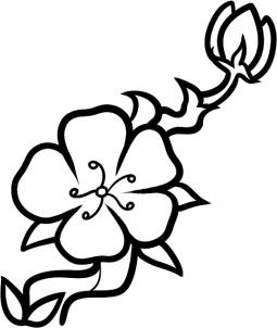 255x302 How To Draw How To Draw A Cherry Blossom For Kids - Cherry Blossom Flower Drawing