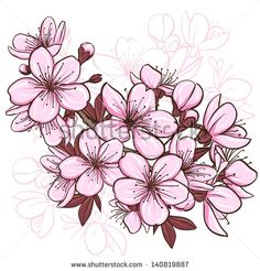 236x246 Japanese Sakura Drawing Easy Japanese Flowers Drawings Sakura - Cherry Blossom Flower Drawing
