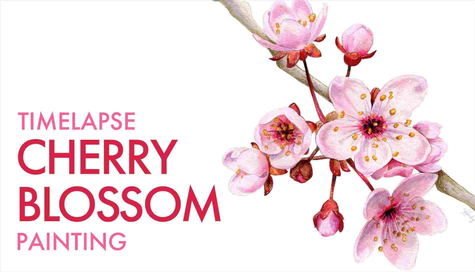 1899x1090 Collection Cherry Blossom Flower Branch Drawing Of Free Orchid - Cherry Blossom Flower Drawing