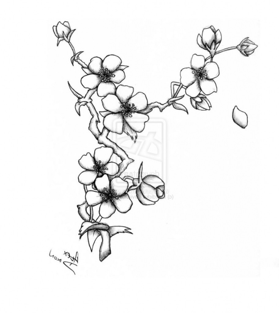 912x1024 Blossom Flower Drawing - Cherry Blossom Flower Drawing