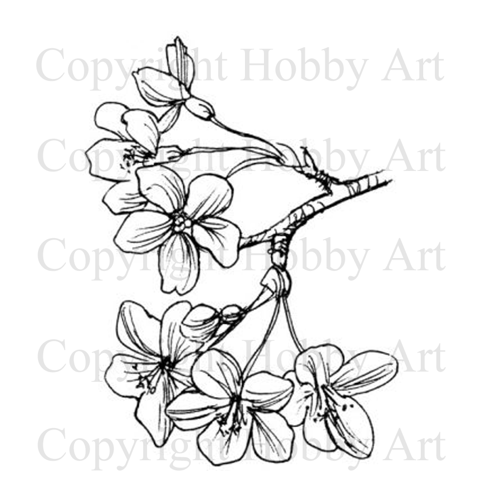1000x1000 cherry blossom flowers rubber stamps products hobby - Cherry Blossom Flower Drawing