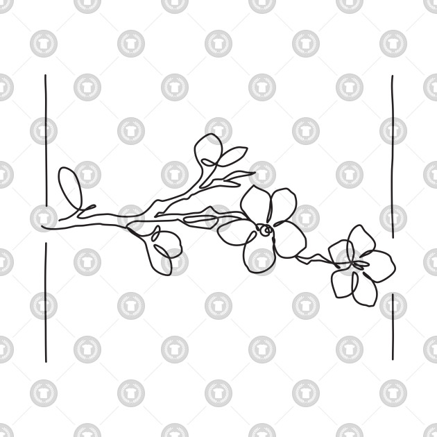 630x630 Cherry Blossom Line Drawing - Cherry Blossom Line Drawing