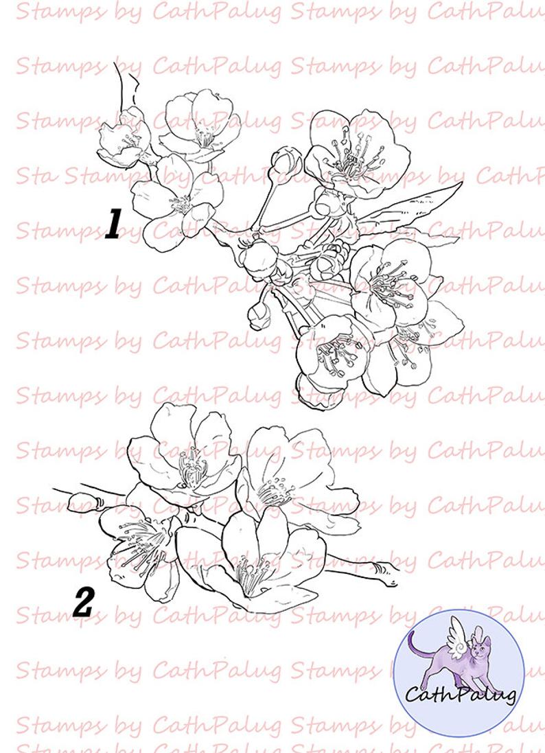 794x1097 Digital Stamp Cherry Blossom Art For Cards And Crafts Etsy - Cherry Blossom Line Drawing