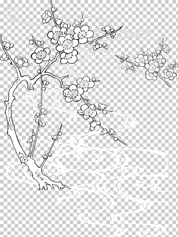 728x968 paper drawing cherry blossom line art, creative ink plum plum snow - Cherry Blossom Line Drawing