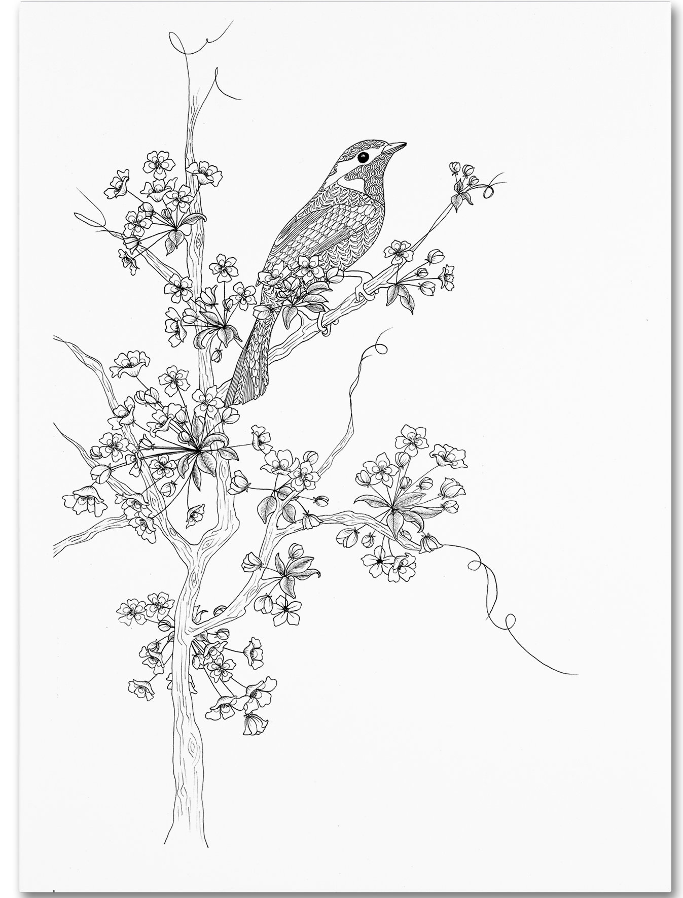 1347x1770 trademark art 'cherry blossom' drawing print on wrapped canvas - Cherry Blossom Line Drawing