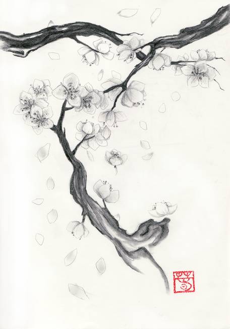 456x650 Stunning Cherry Blossom Pencil Drawings And Illustrations - Cherry Blossom Pencil Drawing