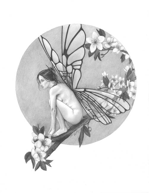 502x650 Cherry Blossom Fairy - Cherry Blossom Pencil Drawing