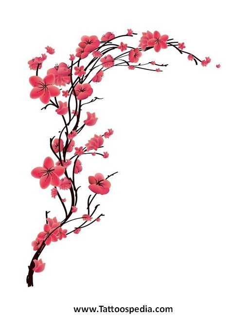 508x650 Latest Cherry Blossom Tattoos Ideas - Cherry Blossom Tattoo Drawing