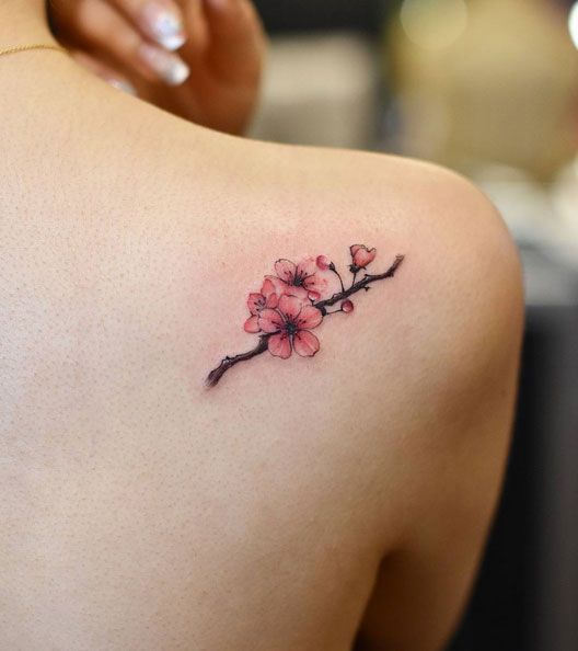 528x594 Cherry Blossom Tattoo Meaning, Designs, Ideas And Much More! - Cherry Blossom Tattoo Drawing