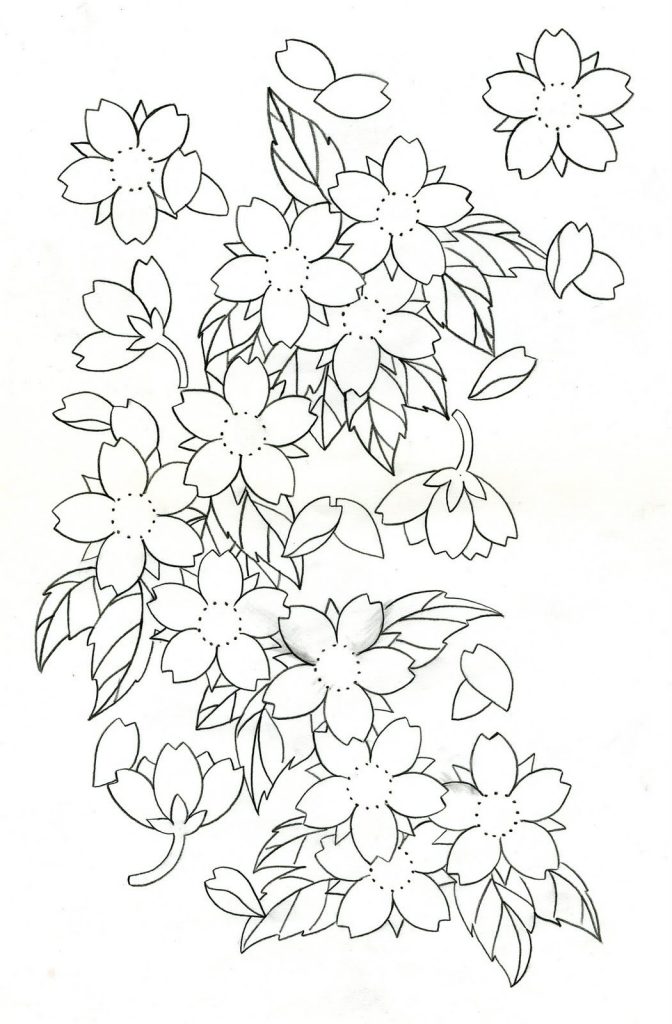 672x1024 Cherry Blossom Tattoos Designs, Ideas And Meaning Tattoos For You - Cherry Blossom Tattoo Drawing