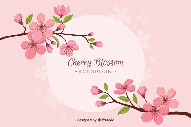 626x417 Cherry Blossom Tree Vectors, Photos And Free Download - Cherry Blossom Tree Branch Drawing