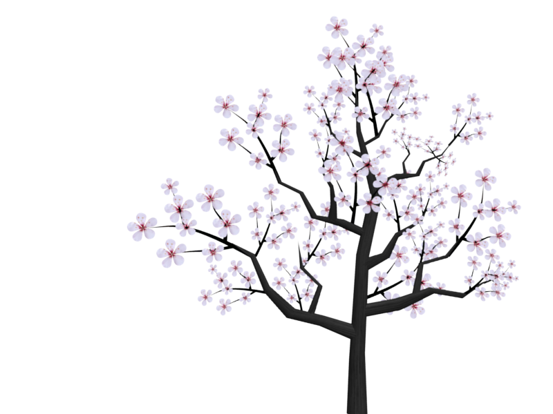 800x600 Collection Of Free Drawing Tree Cherry Blossom Download On Ui Ex - Cherry Blossom Tree Branch Drawing