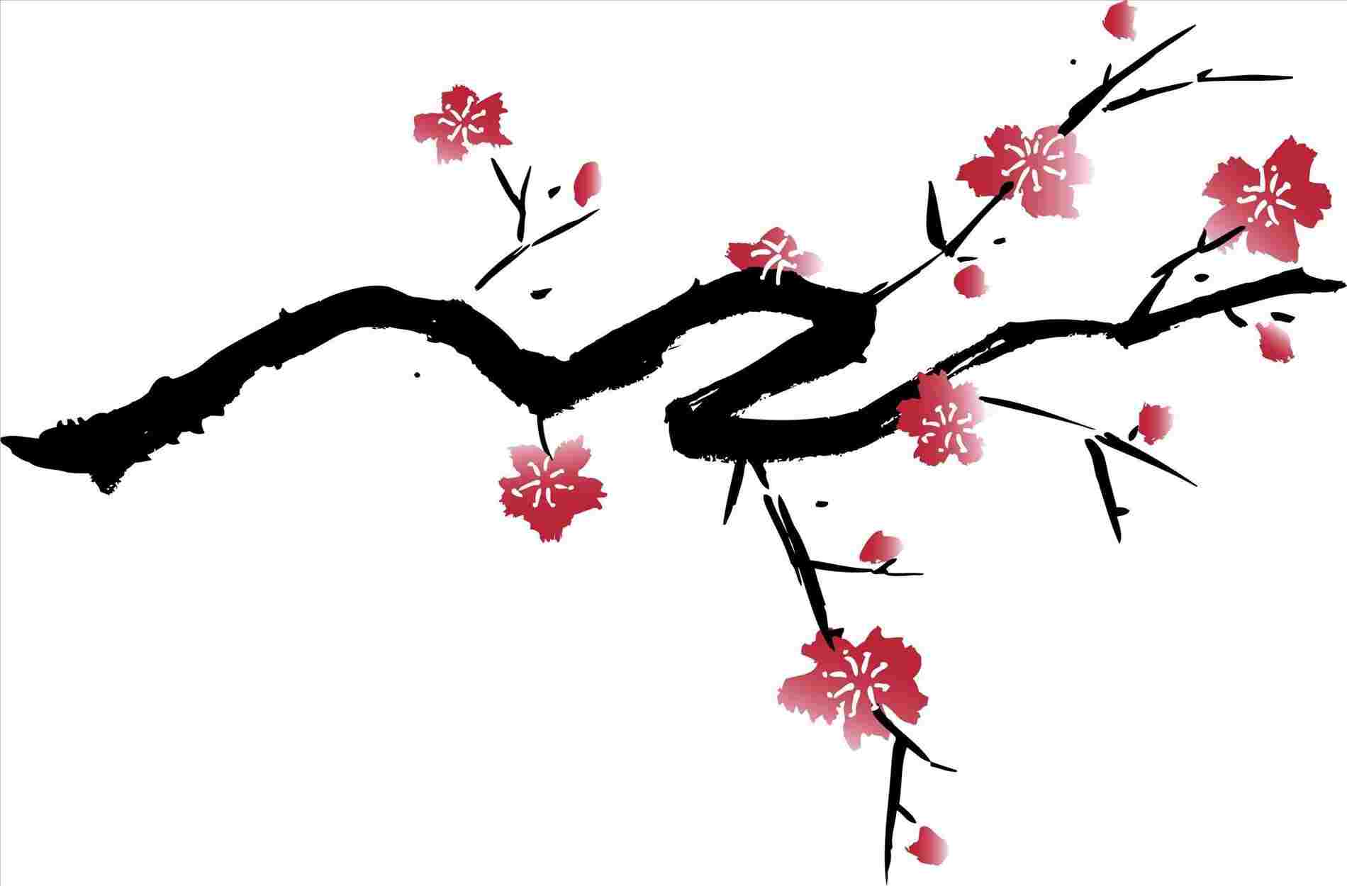 1900x1250 Google Simple Cherry Blossom Tree Branch Drawing Image Result - Cherry Blossom Tree Branch Drawing