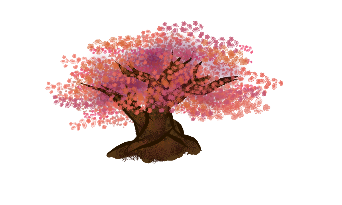 1200x720 How To Draw A Cherry Blossom Steps - Cherry Blossom Tree Branch Drawing