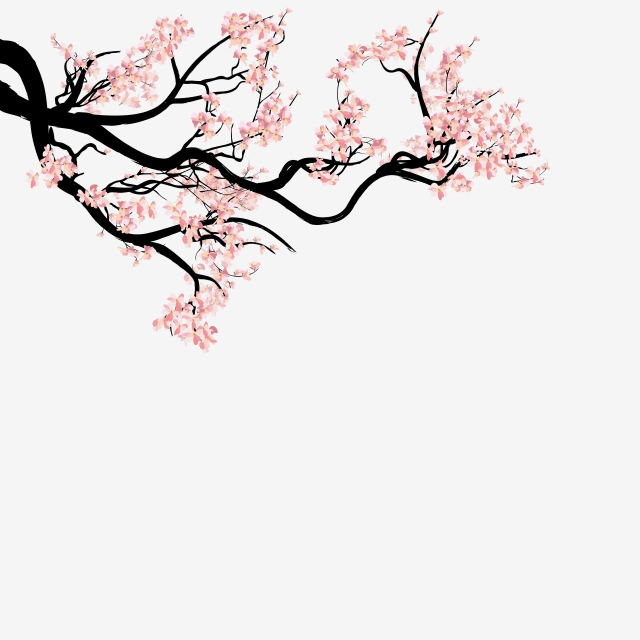 Cherry Blossom Tree Branch Drawing At Explore