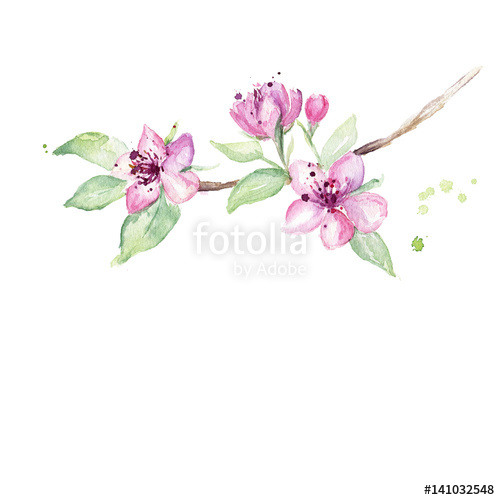 500x500 Watercolor Blossom Cherry Tree Branches Hand Drawn Japanese - Cherry Blossom Tree Branch Drawing