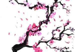 300x210 Artistic Cherry Blossom Tree Drawing - Cherry Blossom Tree Branch Drawing