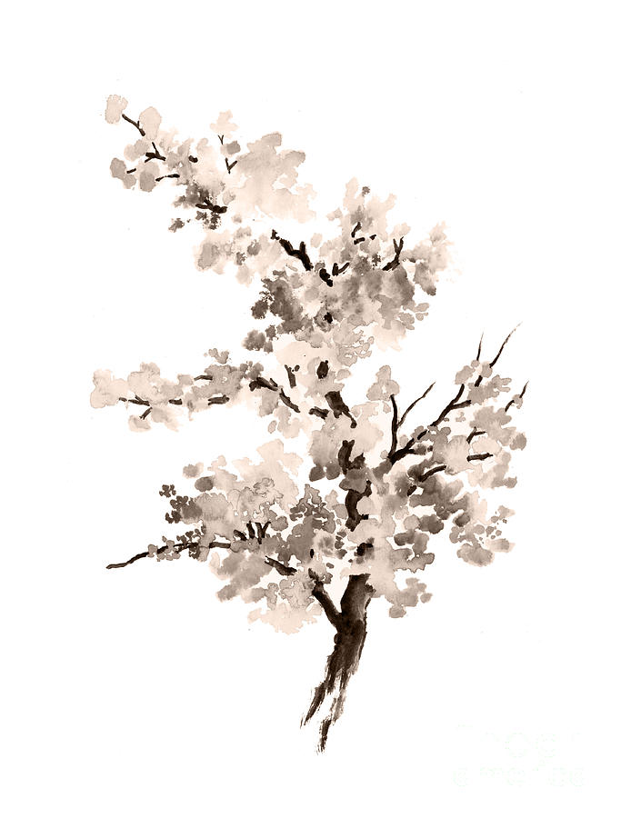 683x900 cherry blossom tree drawing watercolor painting painting - Cherry Blossom Tree Drawing
