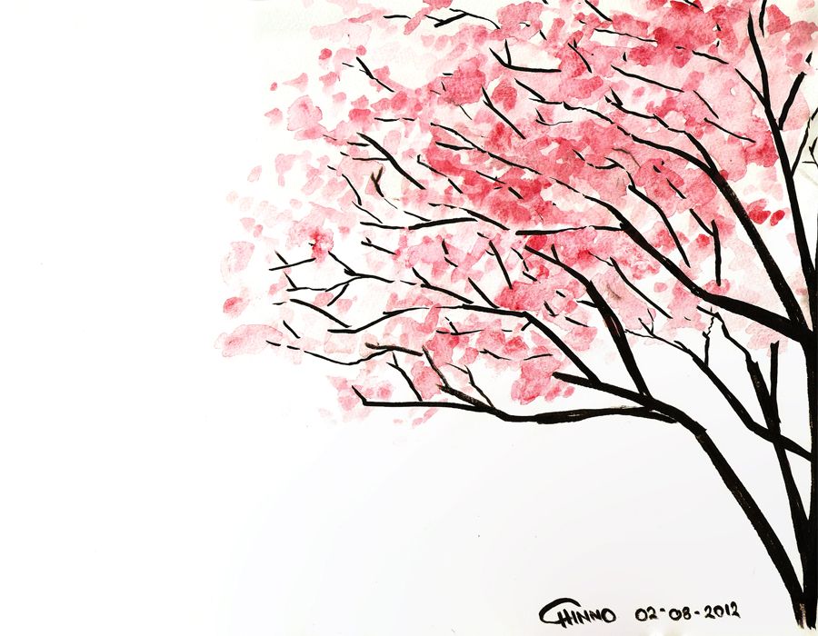 Cherry Blossom Tree Drawing At Paintingvalley Com Explore