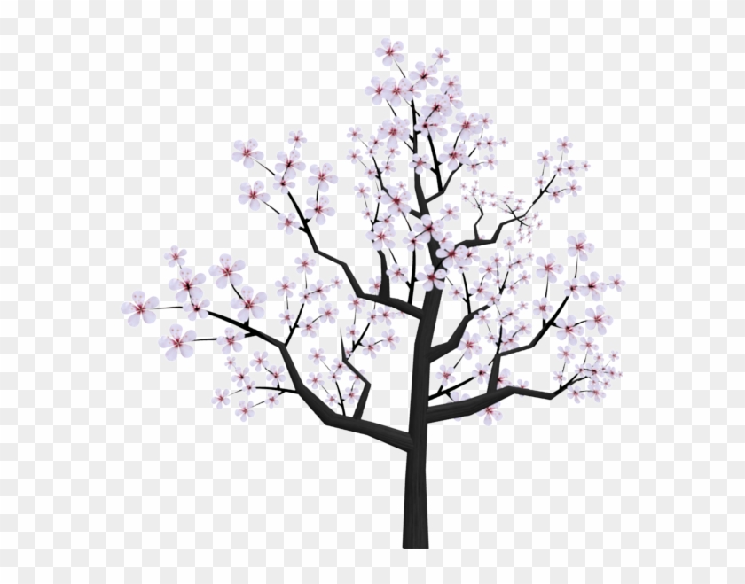 840x659 Drawn Sakura Blossom Transparent - Cherry Blossom Tree Drawing
