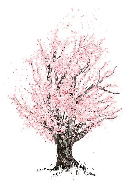 427x640 Cherry Blossom Tree Via Tumblr On We Heart It - Cherry Blossom Tree Drawing