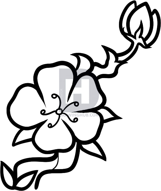 536x636 How To Draw A Cherry Blossom For Kids, Step - Cherry Blossom Tree Drawing Easy