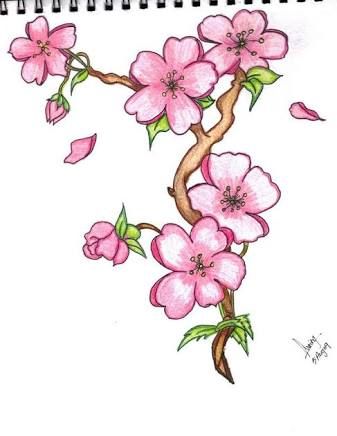 15 Best New Step By Step Cherry Blossom Flower Drawing