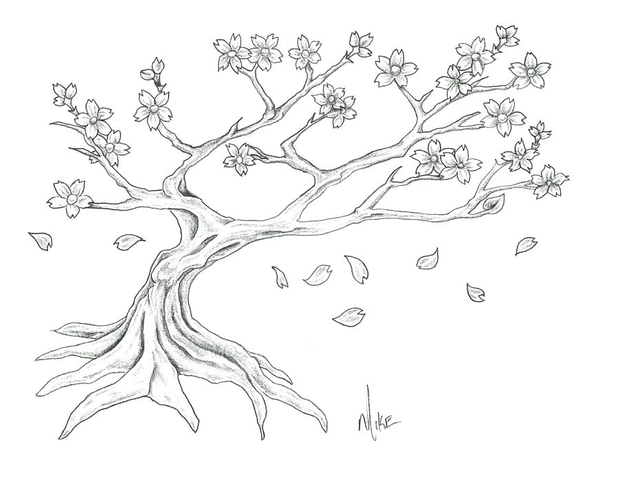 Cherry Blossom Tree Drawing Easy at PaintingValley.com | Explore